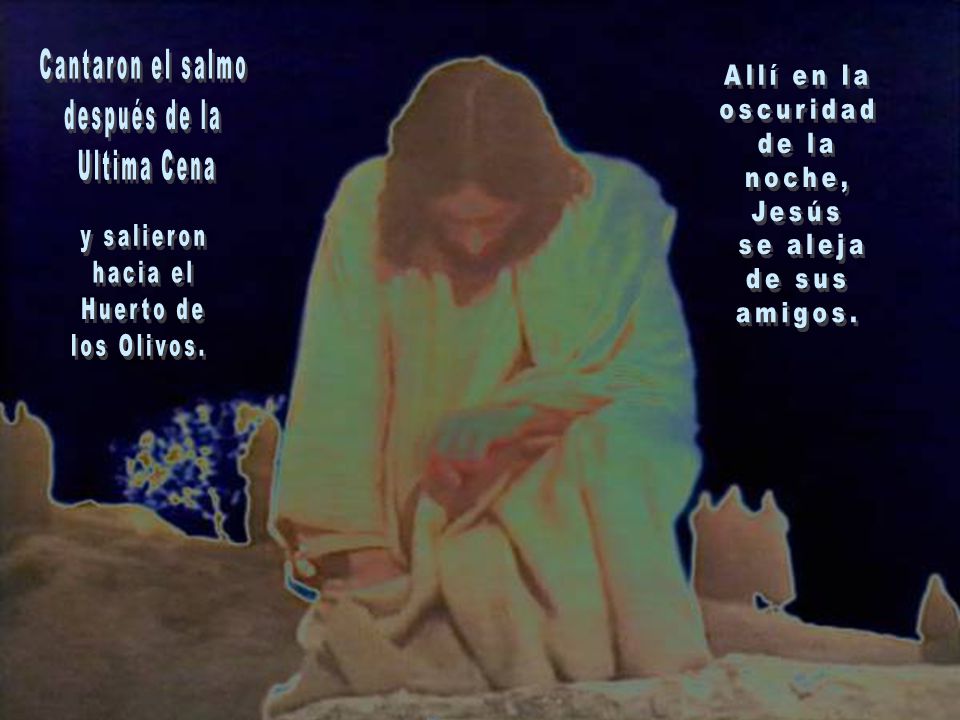 Cantaron el salmo después de la. Ultima Cena. Allí en la. oscuridad. de la. noche, Jesús. se aleja.