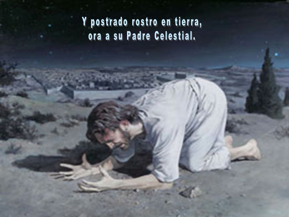 Y postrado rostro en tierra, ora a su Padre Celestial.
