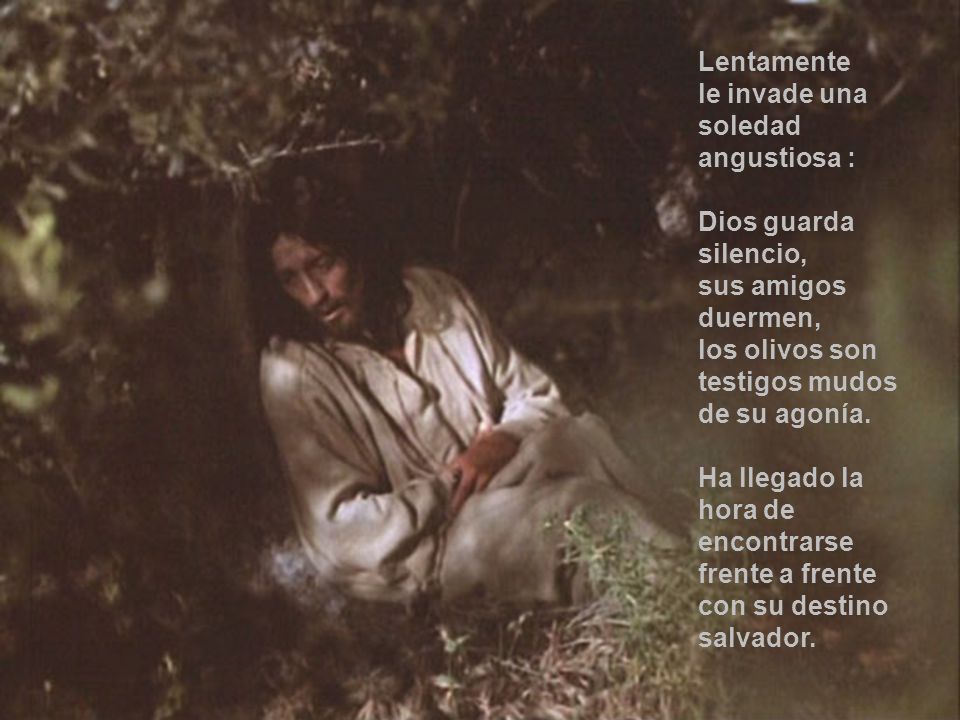 Lentamente le invade una soledad angustiosa : Dios guarda silencio, sus amigos duermen, los olivos son testigos mudos de su agonía.
