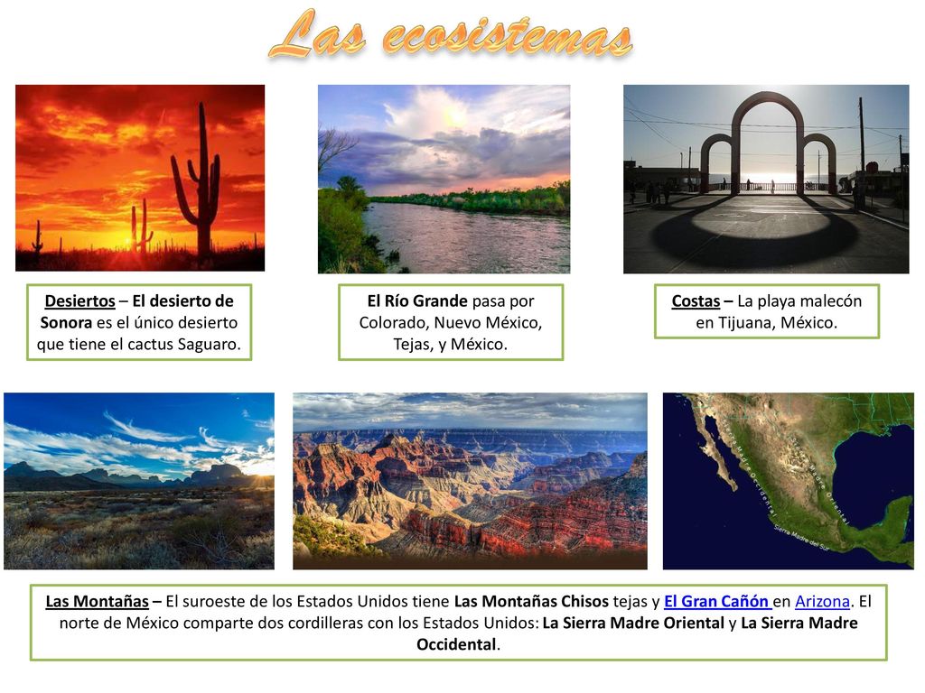 Las ecosistemas Desiertos – El desierto de Sonora es el único desierto que tiene el cactus Saguaro.