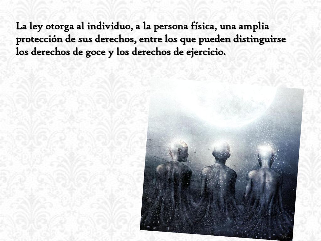 La ley otorga al individuo, a la persona física, una amplia protección de sus derechos, entre los que pueden distinguirse los derechos de goce y los derechos de ejercicio.