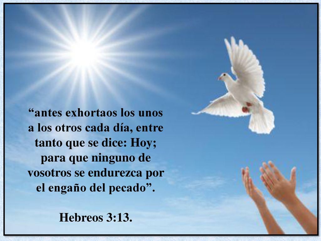antes exhortaos los unos a los otros cada día, entre tanto que se dice: Hoy; para que ninguno de vosotros se endurezca por el engaño del pecado .