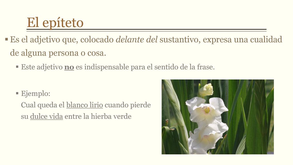 El epíteto Es el adjetivo que, colocado delante del sustantivo, expresa una cualidad de alguna persona o cosa.