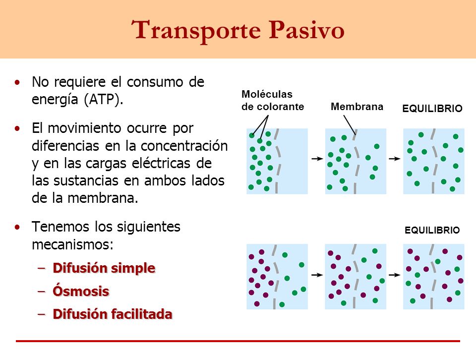 Transporte Pasivo No requiere el consumo de energía (ATP).