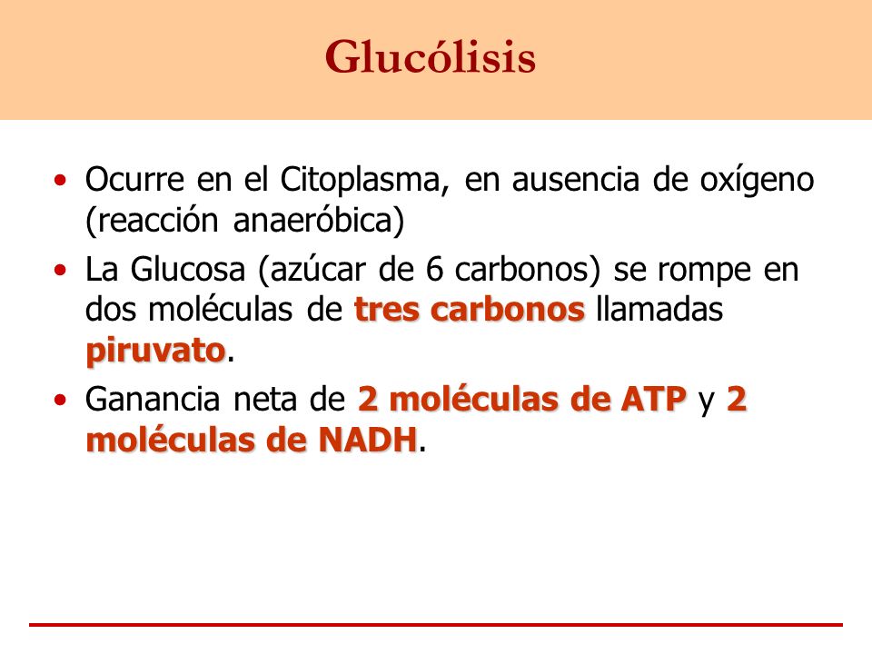 Glucólisis Ocurre en el Citoplasma, en ausencia de oxígeno (reacción anaeróbica)