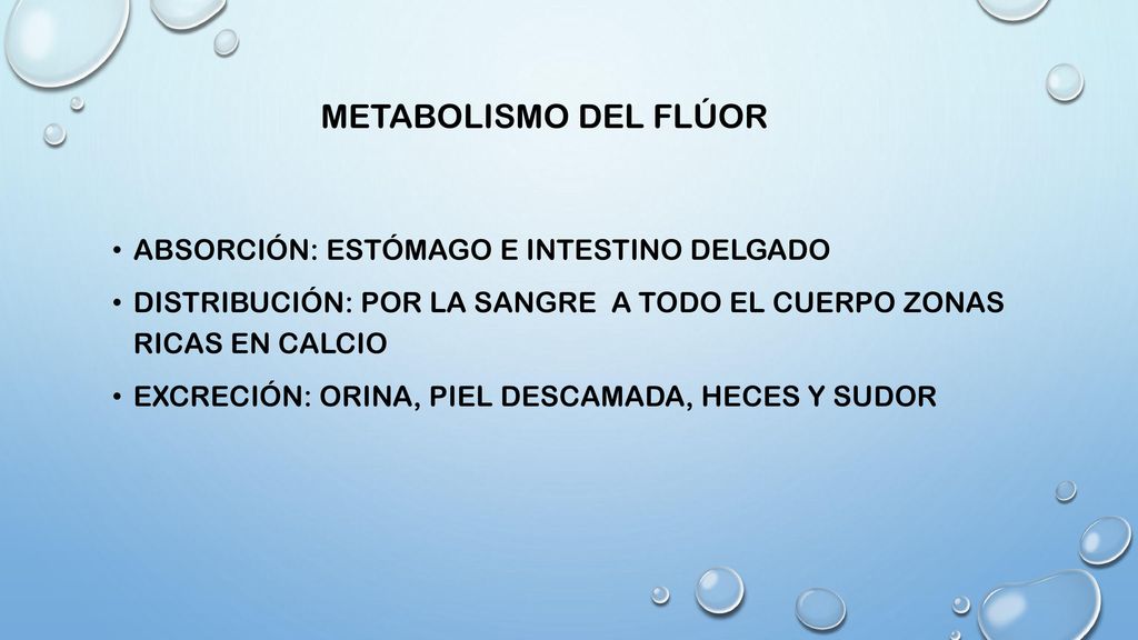 Metabolismo del flúor Absorción: estómago e intestino delgado