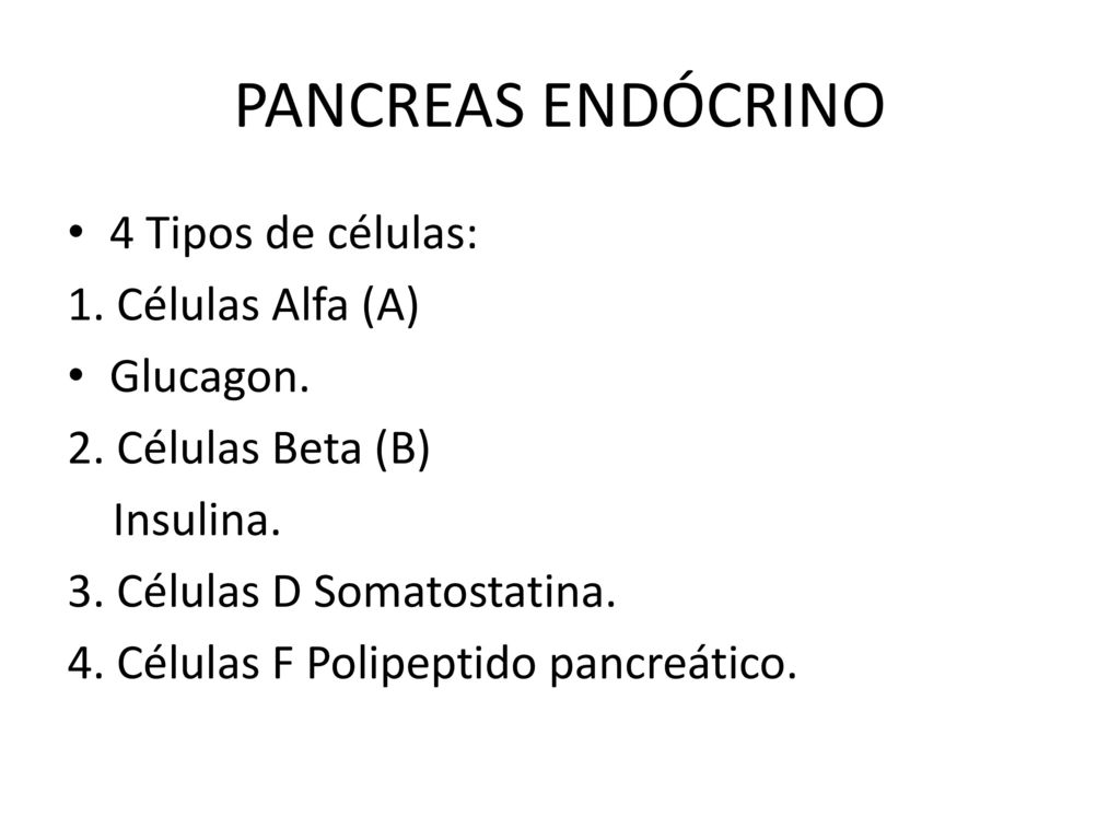 PANCREAS ENDÓCRINO 4 Tipos de células: 1. Células Alfa (A) Glucagon.