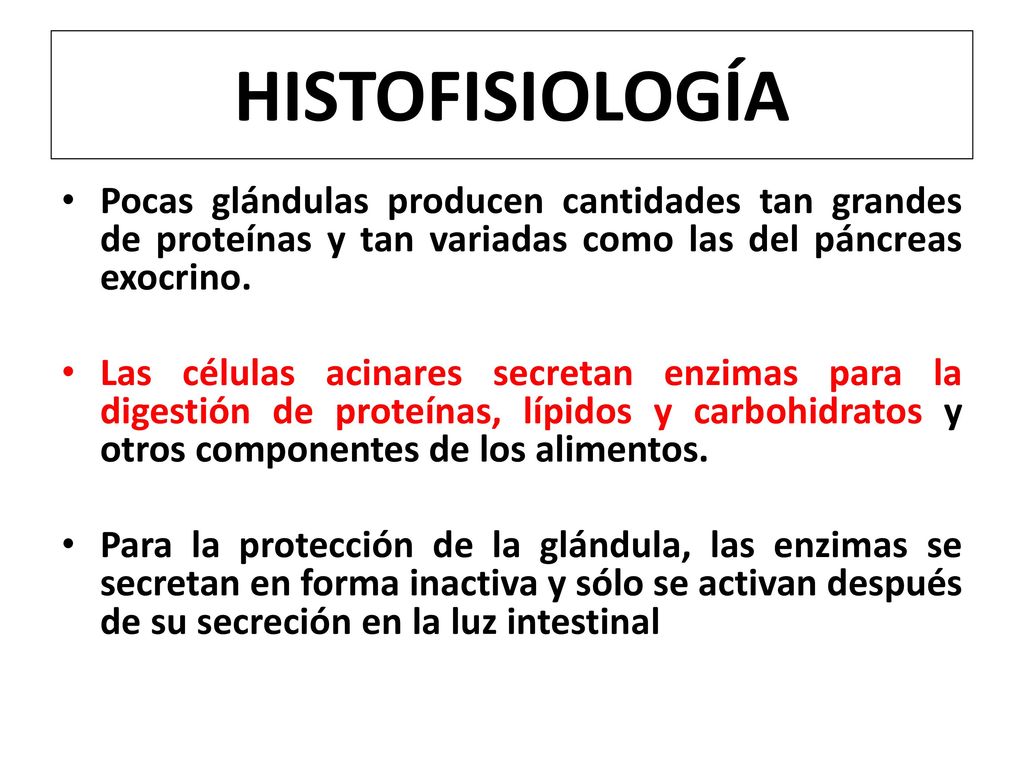 HISTOFISIOLOGÍA Pocas glándulas producen cantidades tan grandes de proteínas y tan variadas como las del páncreas exocrino.