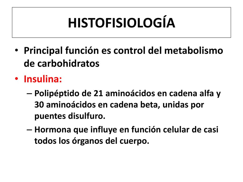 HISTOFISIOLOGÍA Principal función es control del metabolismo de carbohidratos. Insulina: