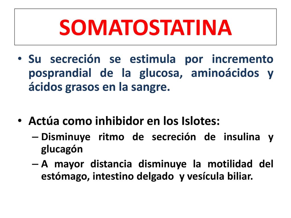 SOMATOSTATINA Su secreción se estimula por incremento posprandial de la glucosa, aminoácidos y ácidos grasos en la sangre.