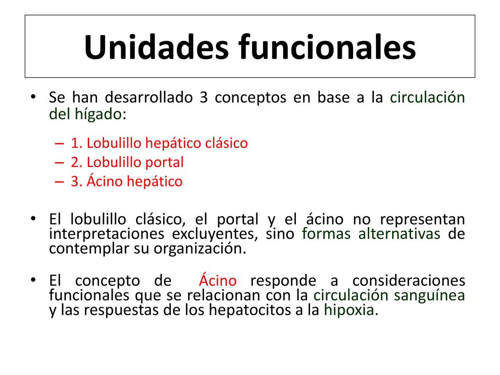 Unidades funcionales Se han desarrollado 3 conceptos en base a la circulación del hígado: 1. Lobulillo hepático clásico.