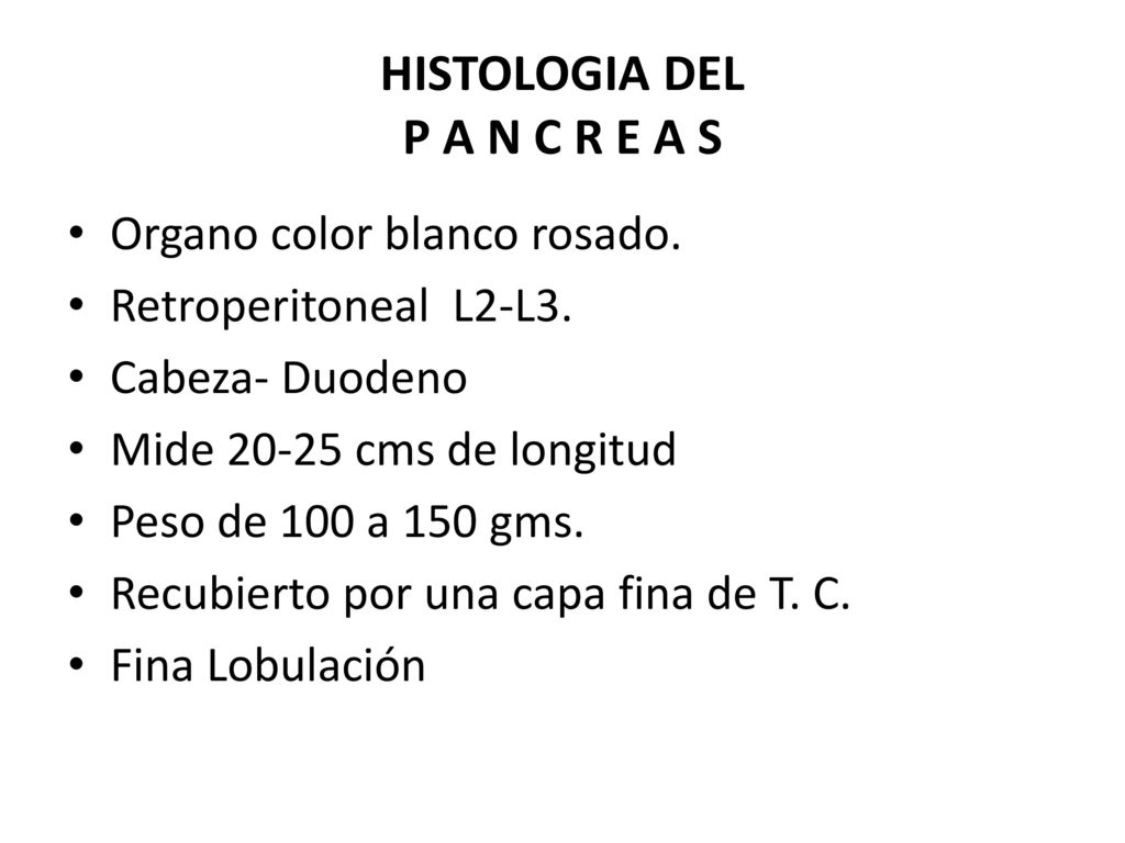 HISTOLOGIA DEL P A N C R E A S