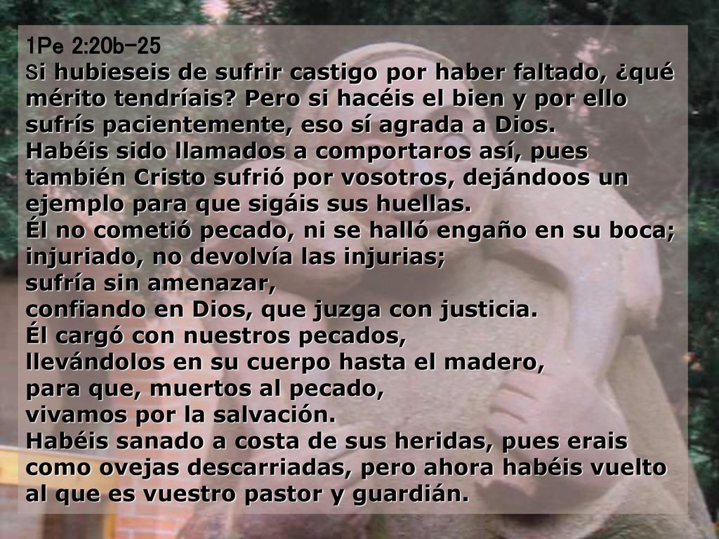 1Pe 2:20b-25 Si hubieseis de sufrir castigo por haber faltado, ¿qué mérito tendríais Pero si hacéis el bien y por ello sufrís pacientemente, eso sí agrada a Dios. Habéis sido llamados a comportaros así, pues también Cristo sufrió por vosotros, dejándoos un ejemplo para que sigáis sus huellas. Él no cometió pecado, ni se halló engaño en su boca; injuriado, no devolvía las injurias; sufría sin amenazar, confiando en Dios, que juzga con justicia.