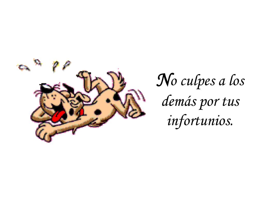 No culpes a los demás por tus infortunios.
