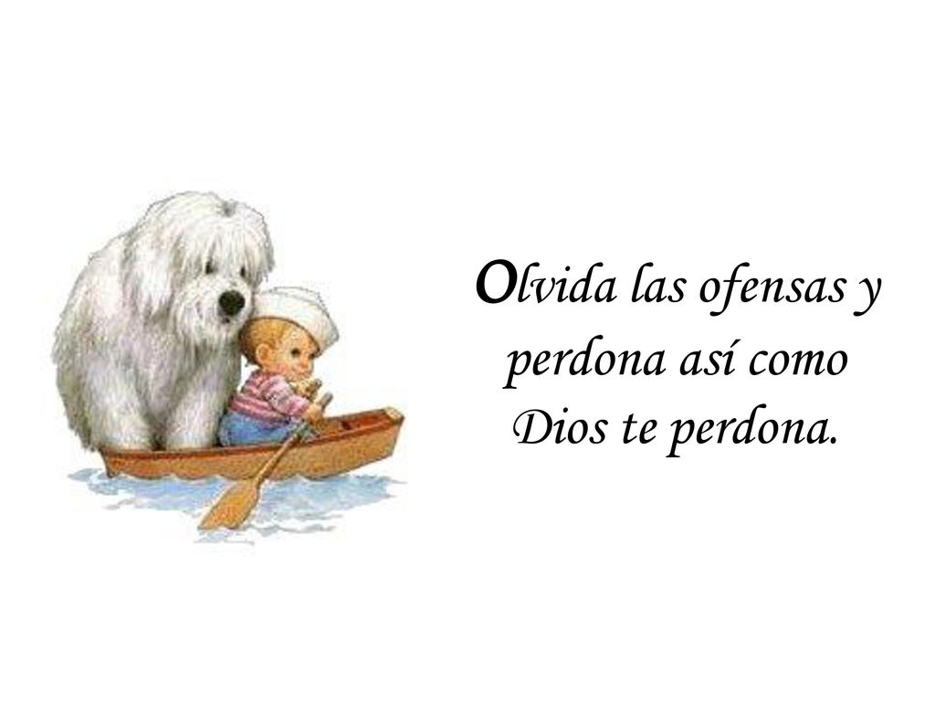 Olvida las ofensas y perdona así como Dios te perdona.