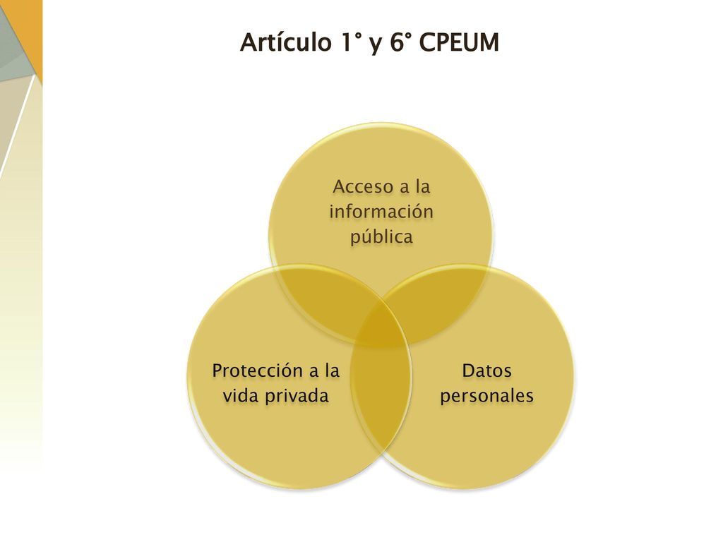 Artículo 1° y 6° CPEUM Acceso a la información pública