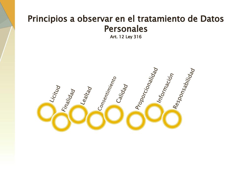 Principios a observar en el tratamiento de Datos Personales Art