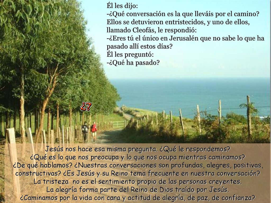 Él les dijo: -¿Qué conversación es la que lleváis por el camino
