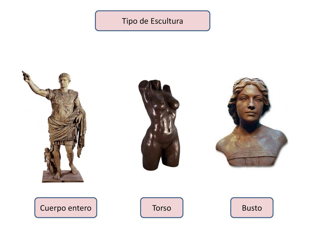 Tipo de Escultura Cuerpo entero Torso Busto