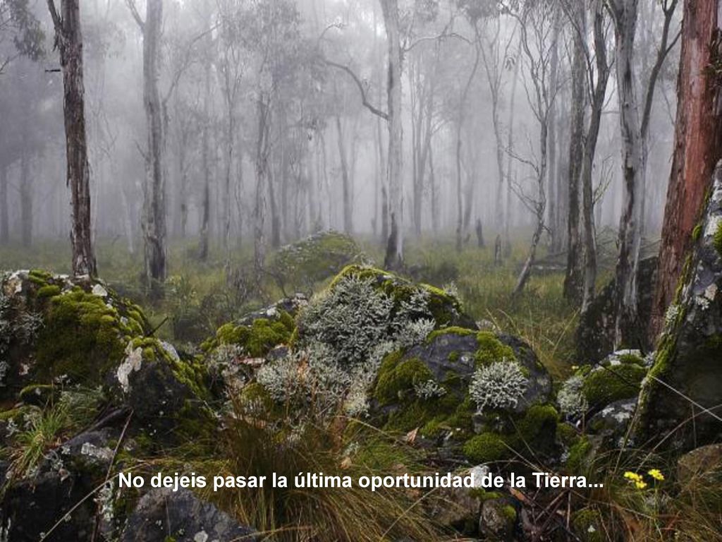 No dejeis pasar la última oportunidad de la Tierra...