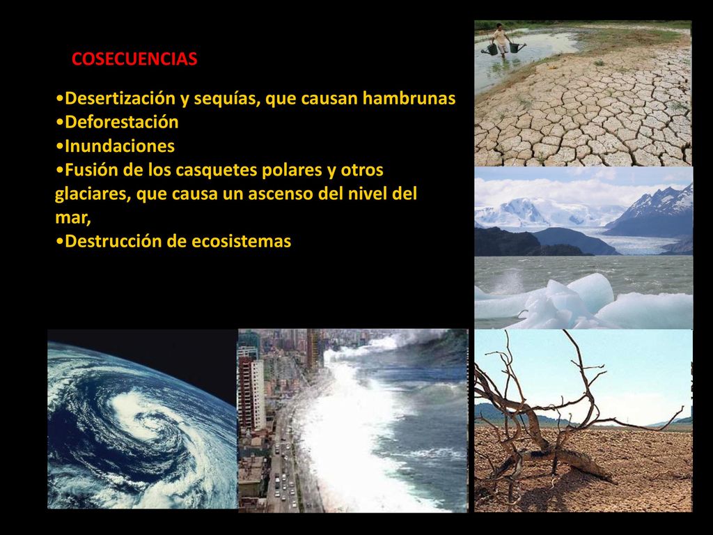COSECUENCIAS Desertización y sequías, que causan hambrunas. Deforestación. Inundaciones.
