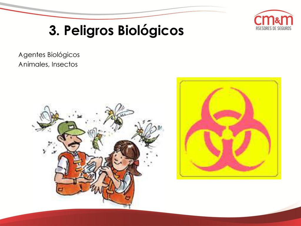3. Peligros Biológicos Agentes Biológicos Animales, Insectos