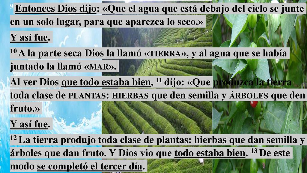 9 Entonces Dios dijo: «Que el agua que está debajo del cielo se junte en un solo lugar, para que aparezca lo seco.»
