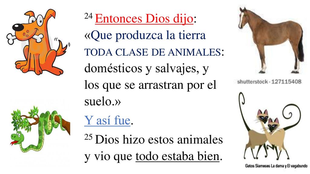 24 Entonces Dios dijo: «Que produzca la tierra toda clase de animales: domésticos y salvajes, y los que se arrastran por el suelo.»