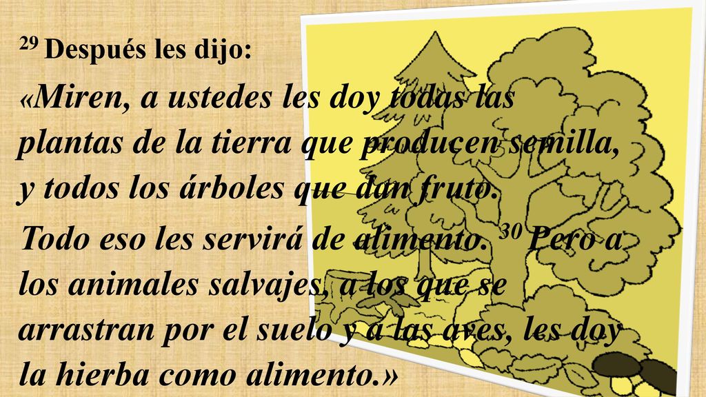 29 Después les dijo: «Miren, a ustedes les doy todas las plantas de la tierra que producen semilla, y todos los árboles que dan fruto.