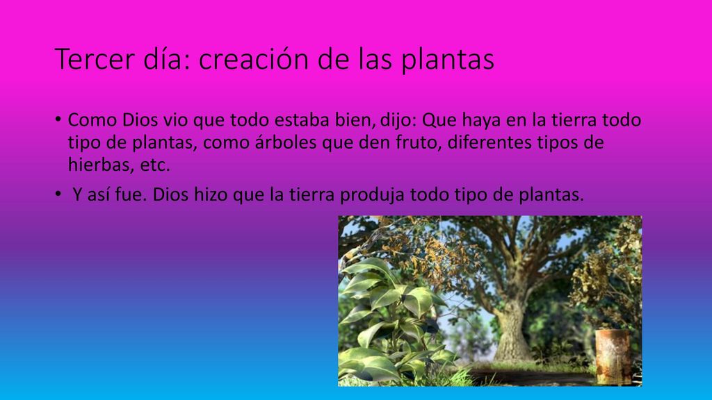 La creación del mundo. - ppt descargar