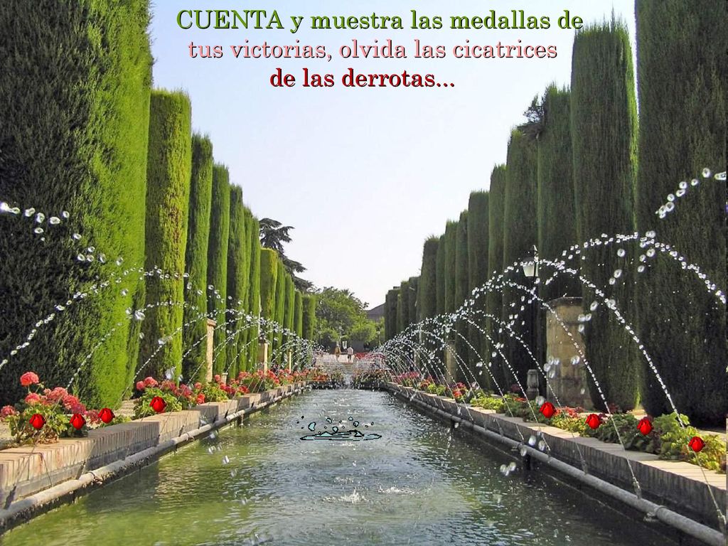 CUENTA y muestra las medallas de tus victorias, olvida las cicatrices