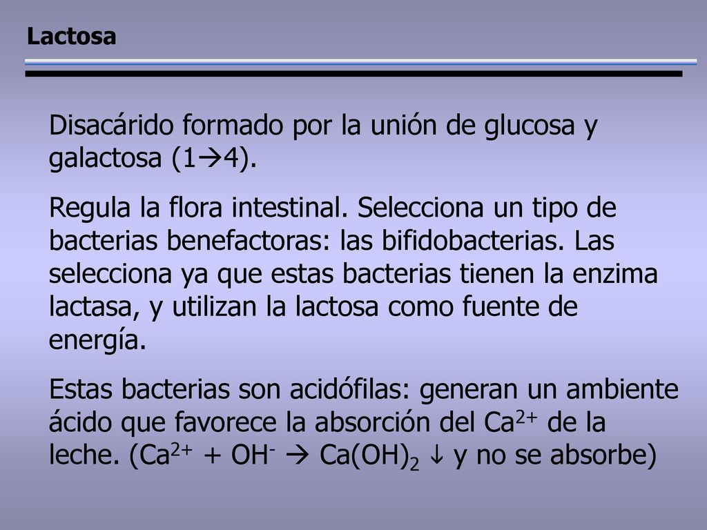 Disacárido formado por la unión de glucosa y galactosa (14).