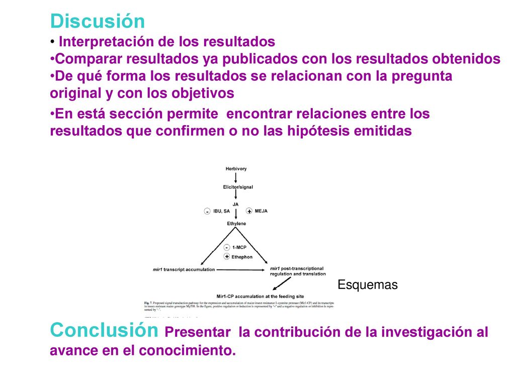 Discusión Interpretación de los resultados. Comparar resultados ya publicados con los resultados obtenidos.