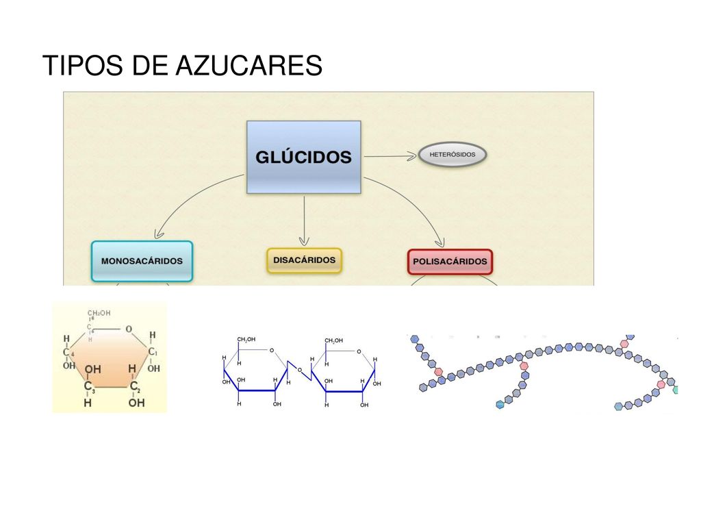 TIPOS DE AZUCARES Hasta 10 monosoacáridos se conocen como oligosacáridos.