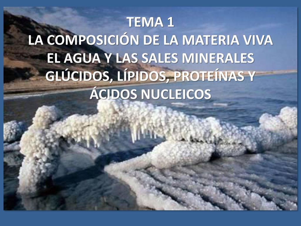LA COMPOSICIÓN DE LA MATERIA VIVA EL AGUA Y LAS SALES MINERALES