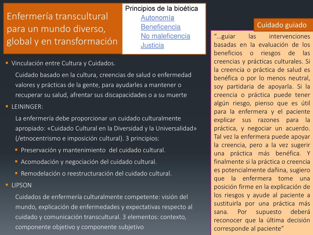 Enfermería transcultural para un mundo diverso, global y en transformación