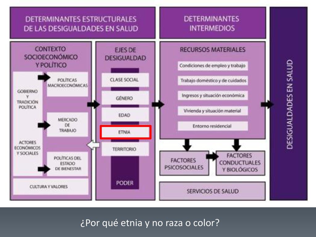¿Por qué etnia y no raza o color