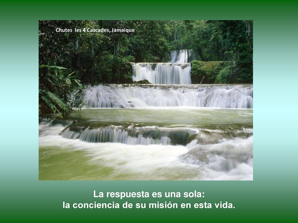 La respuesta es una sola: la conciencia de su misión en esta vida.