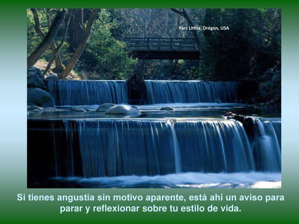 Parc Lithia, Orégon, USA Si tienes angustia sin motivo aparente, está ahí un aviso para parar y reflexionar sobre tu estilo de vida.