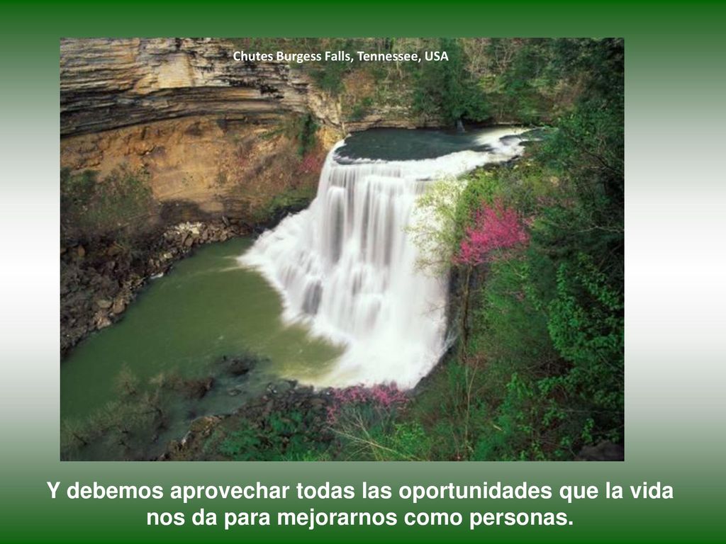 Y debemos aprovechar todas las oportunidades que la vida
