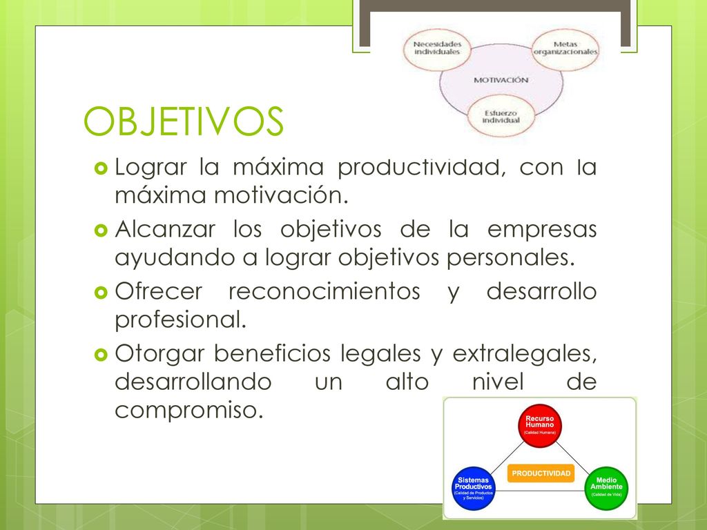 OBJETIVOS Lograr la máxima productividad, con la máxima motivación.