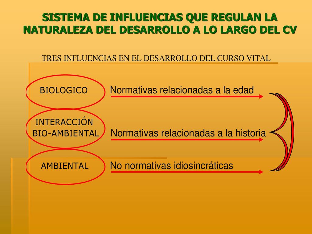 SISTEMA DE INFLUENCIAS QUE REGULAN LA NATURALEZA DEL DESARROLLO A LO LARGO DEL CV