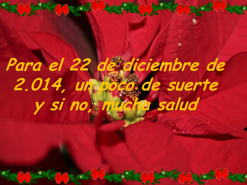Para el 22 de diciembre de 2.014, un poco de suerte y si no, mucha salud