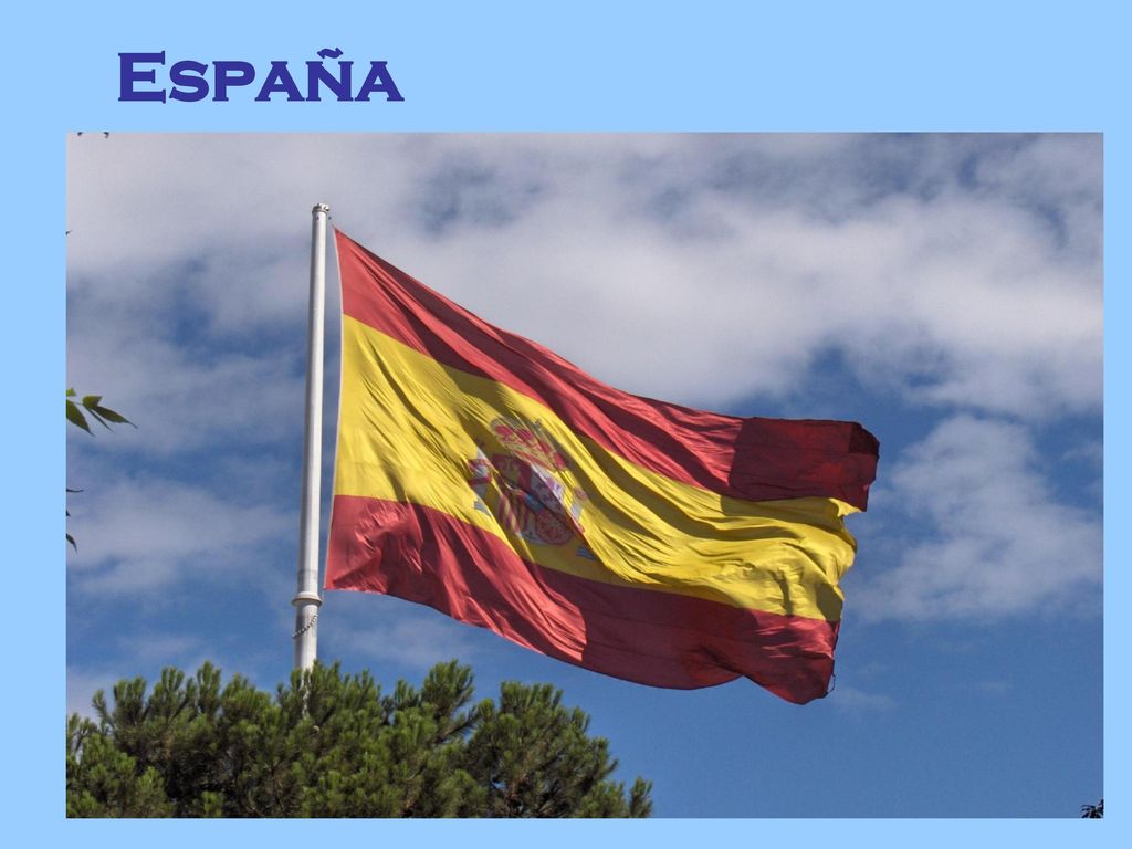 España ¿Cierto o falso La capital de España es Barcelona.