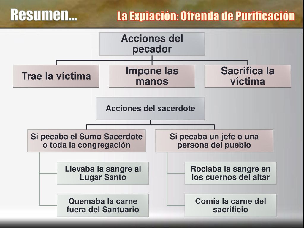 Resumen… La Expiación: Ofrenda de Purificación Acciones del pecador