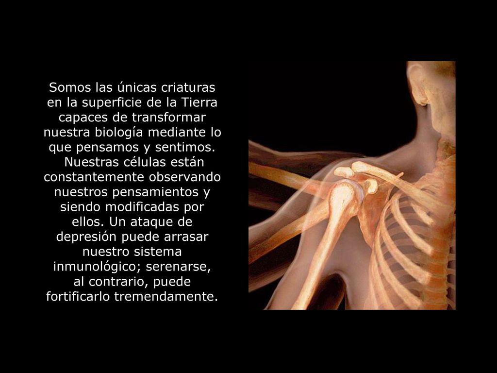 Somos las únicas criaturas en la superficie de la Tierra capaces de transformar nuestra biología mediante lo que pensamos y sentimos.