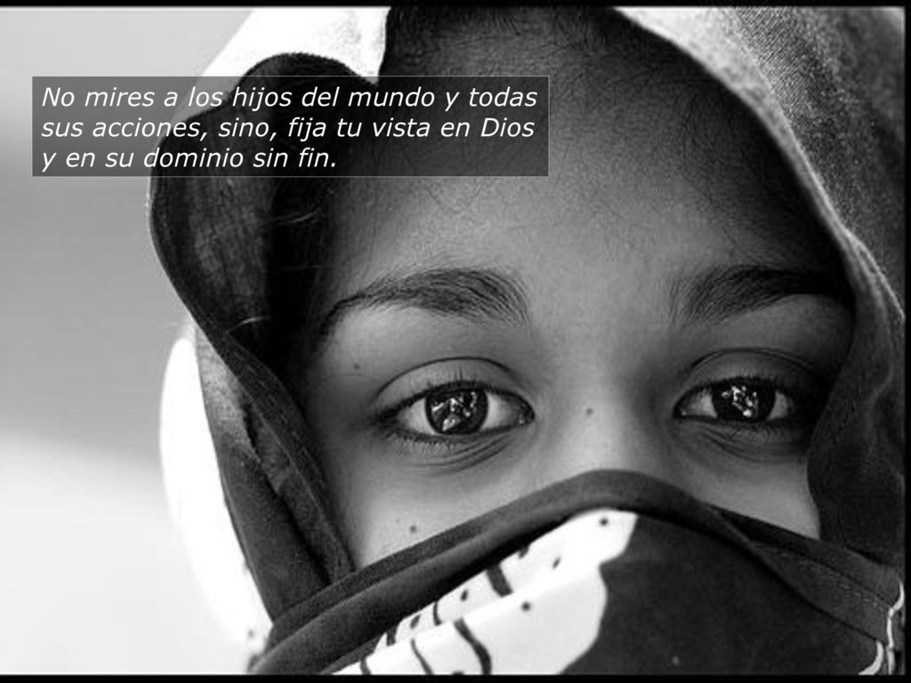 No mires a los hijos del mundo y todas sus acciones, sino, fija tu vista en Dios y en su dominio sin fin.