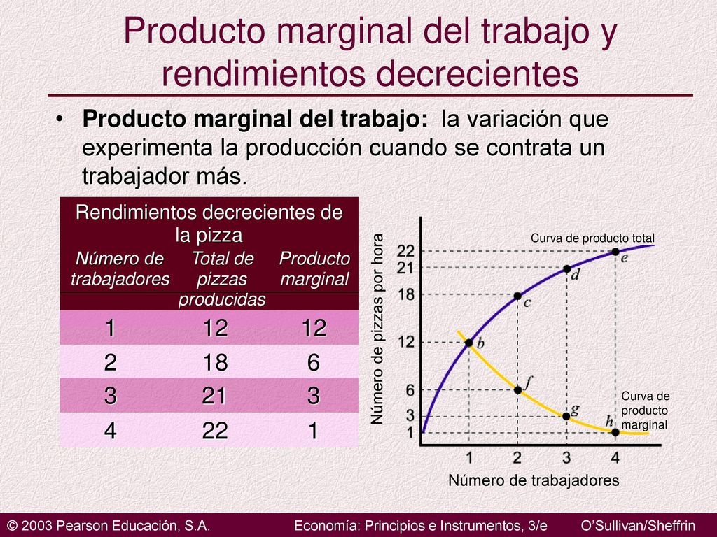 Producto marginal del trabajo y rendimientos decrecientes