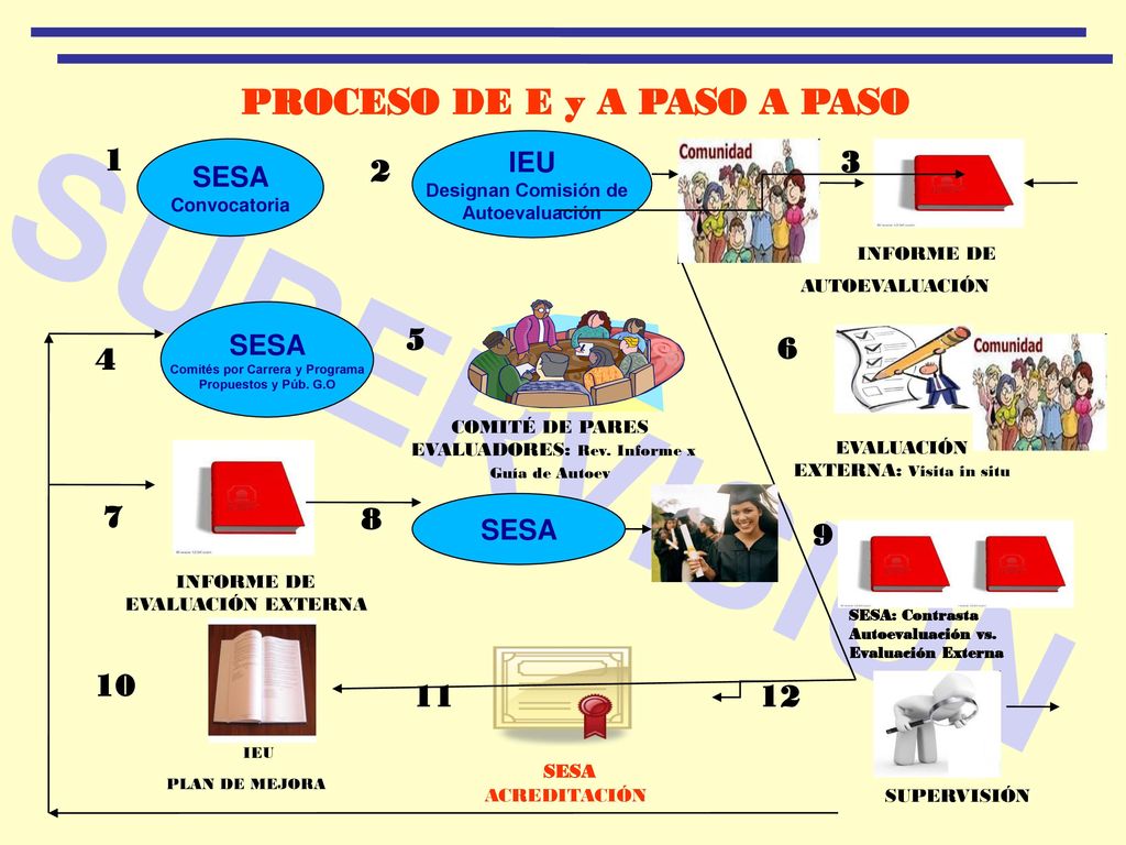 PROCESO DE E y A PASO A PASO Comités por Carrera y Programa