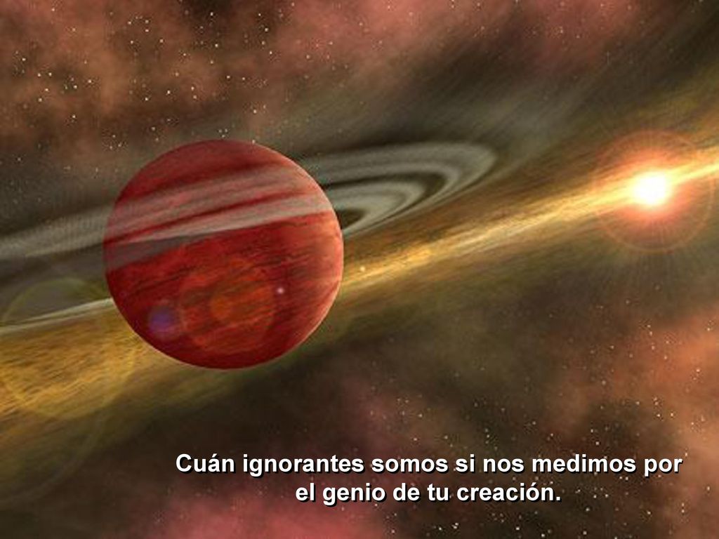 Cuán ignorantes somos si nos medimos por el genio de tu creación.